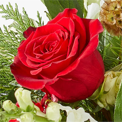 Deck the Halls Bouquet –  Flowers Y Detallitos Analy, Durham NC