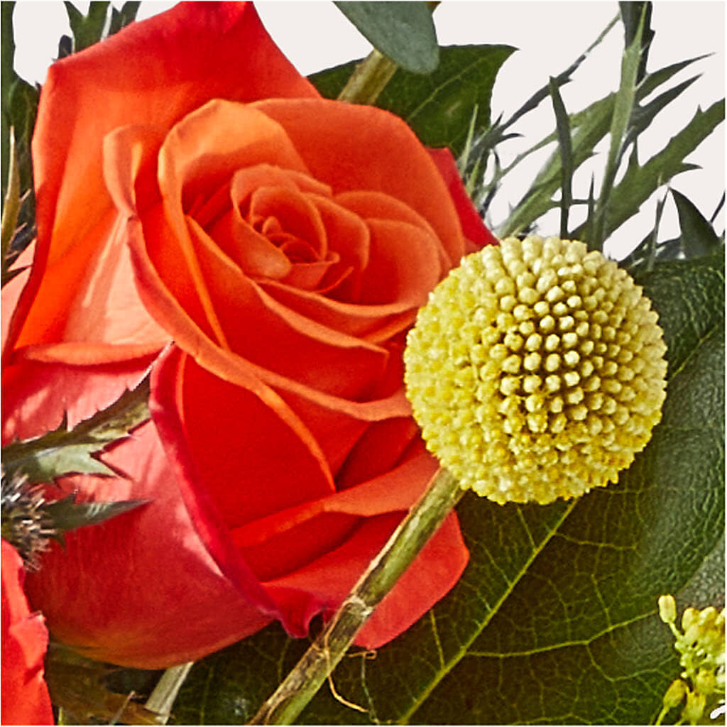 Disco Bouquet –  Flowers Y Detallitos Analy, Durham NC