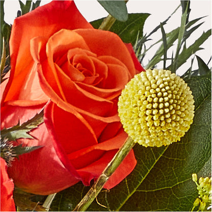 Disco Bouquet –  Flowers Y Detallitos Analy, Durham NC