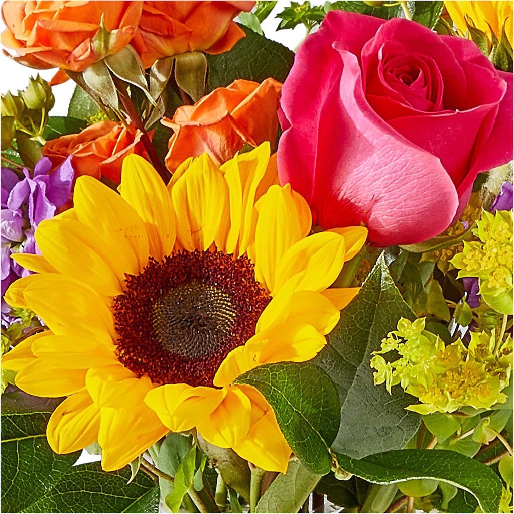 Vibrant Greetings Bouquet –  Flowers Y Detallitos Analy, Durham NC