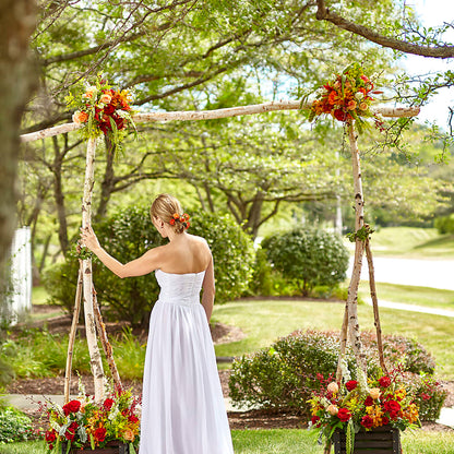 Arbor of Love Archway –  Flowers Y Detallitos Analy, Durham NC