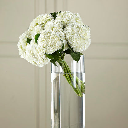 White Hydrangea Hand-Tied Bouquet –  Flowers Y Detallitos Analy, Durham NC