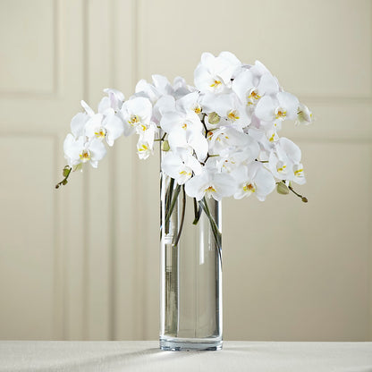White Phalaenopsis Bouquet –  Flowers Y Detallitos Analy, Durham NC