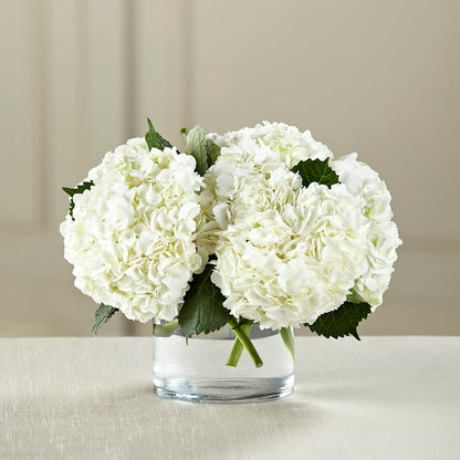 White Hydrangea Bouquet –  Flowers Y Detallitos Analy, Durham NC